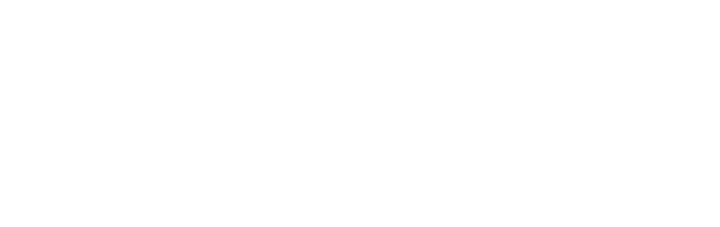 ICPIES 2026